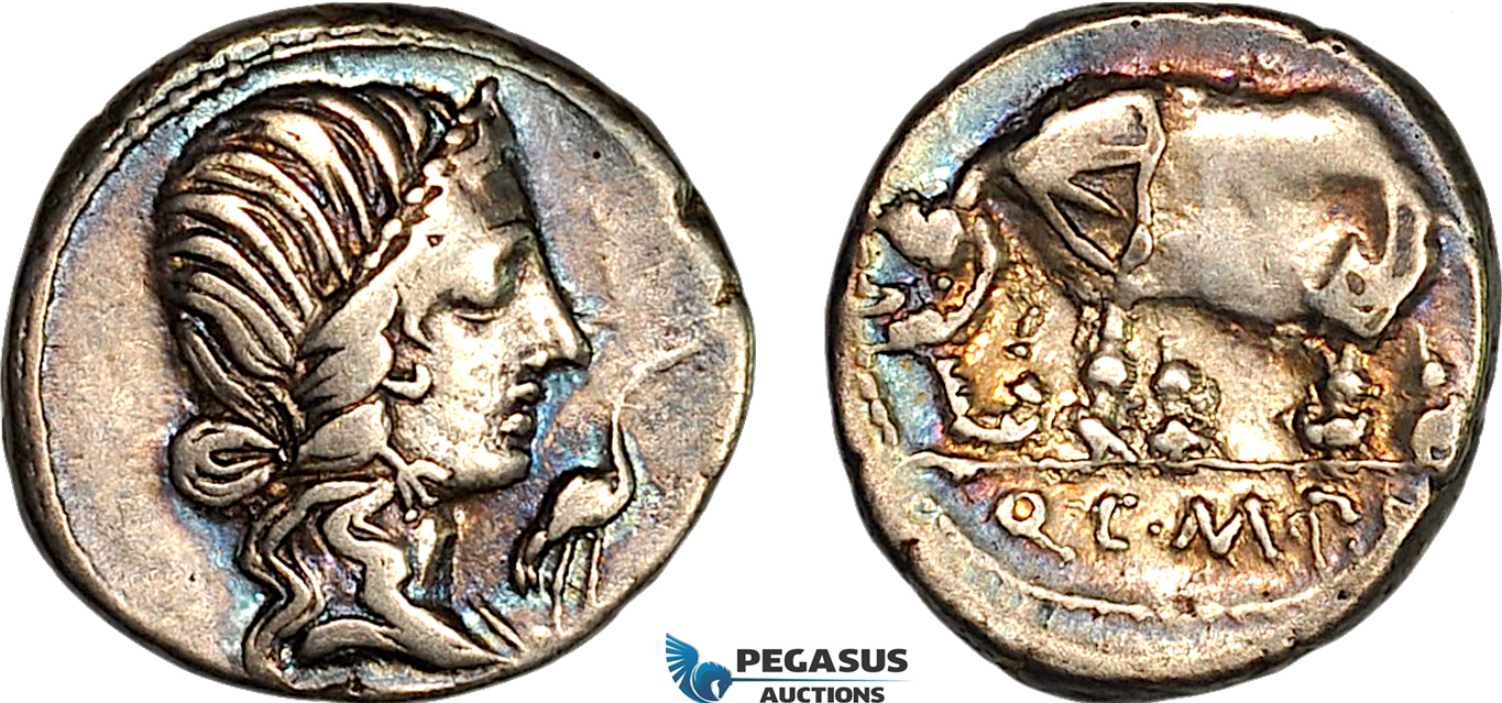 A8/007, Roman Republic, Q. Caecilius Metellus Pius (81 BC) AR Denarius (3.66g). Uncertain Mint in northern Italy. Obv.: Diademed head of Pietas right, stork standing right. Rev.: Elephant walking left. Crawford 374/1, Violet toning! VF *Ex. Galata coins.