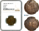 AK479, Ireland, James II, 1 Shilling 1689 Gun Money, Large Coinage, S-6581H, NGC AU53