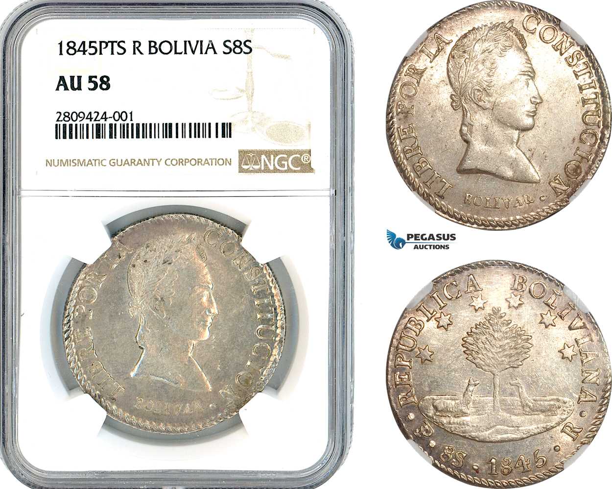 AK879, Bolivia, 8 Soles 1845 PTS R, Potosi Mint, Silver, NGC AU58 (Looks like a small MS in hand)