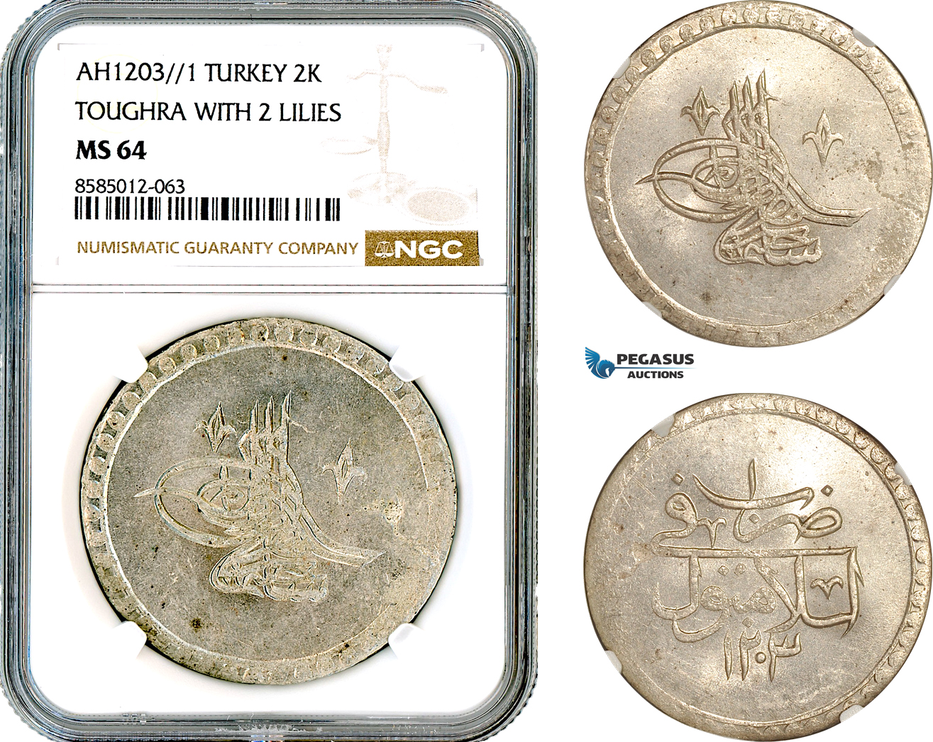 AL436, Turkey, Ottoman Empire, Selim III, 2 Kurus AH1203//1, Islambul Mint, Toughra with 2 Lilies, Silver, NGC MS64