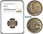 AA371, Australia, George V, Sixpence (6P) 1926, Silver, NGC MS63