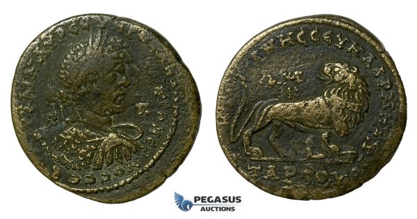 AA627, Roman Provincial, Tarsus in Cilicia, Caracalla (198-217 AD) Æ34 (17.55g) Lion, aVF
