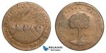 AA809, Honduras, Provisional coinage, Copper Ceiba 8 Reales 1857 T FL, Tegucigalpa, VF, Rare!