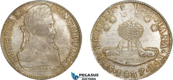 AD246, Bolivia, 8 Soles 1837 PTS LM, Potosi, Silver, Lightly Cleaned AU