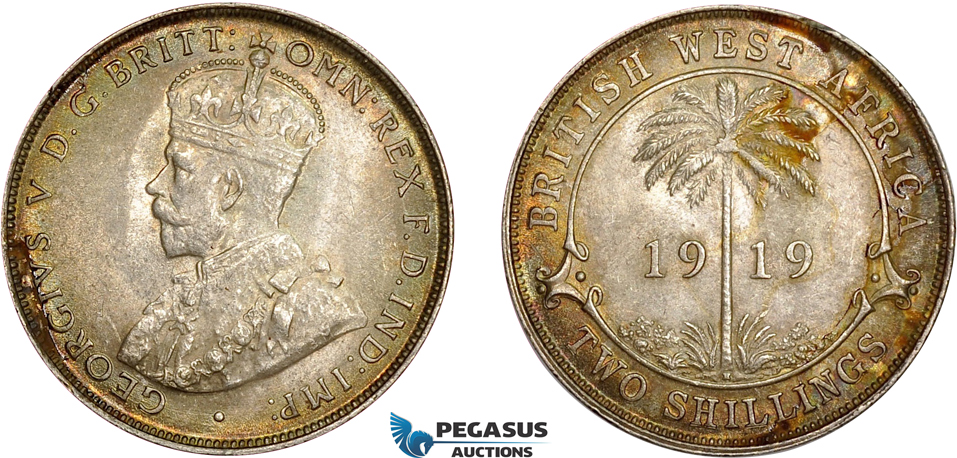 AD382, British West Africa, George V, 2 Shillings 1919, Silver, Edge damage and stained UNC