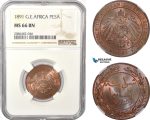 AD955, German East Africa (DOA) Pesa 1891, Berlin, NGC MS66BN