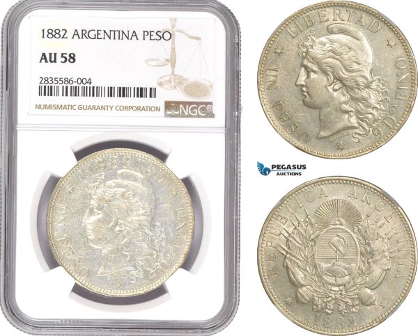 AE203, Argentina, Peso 1882, Silver, NGC AU58