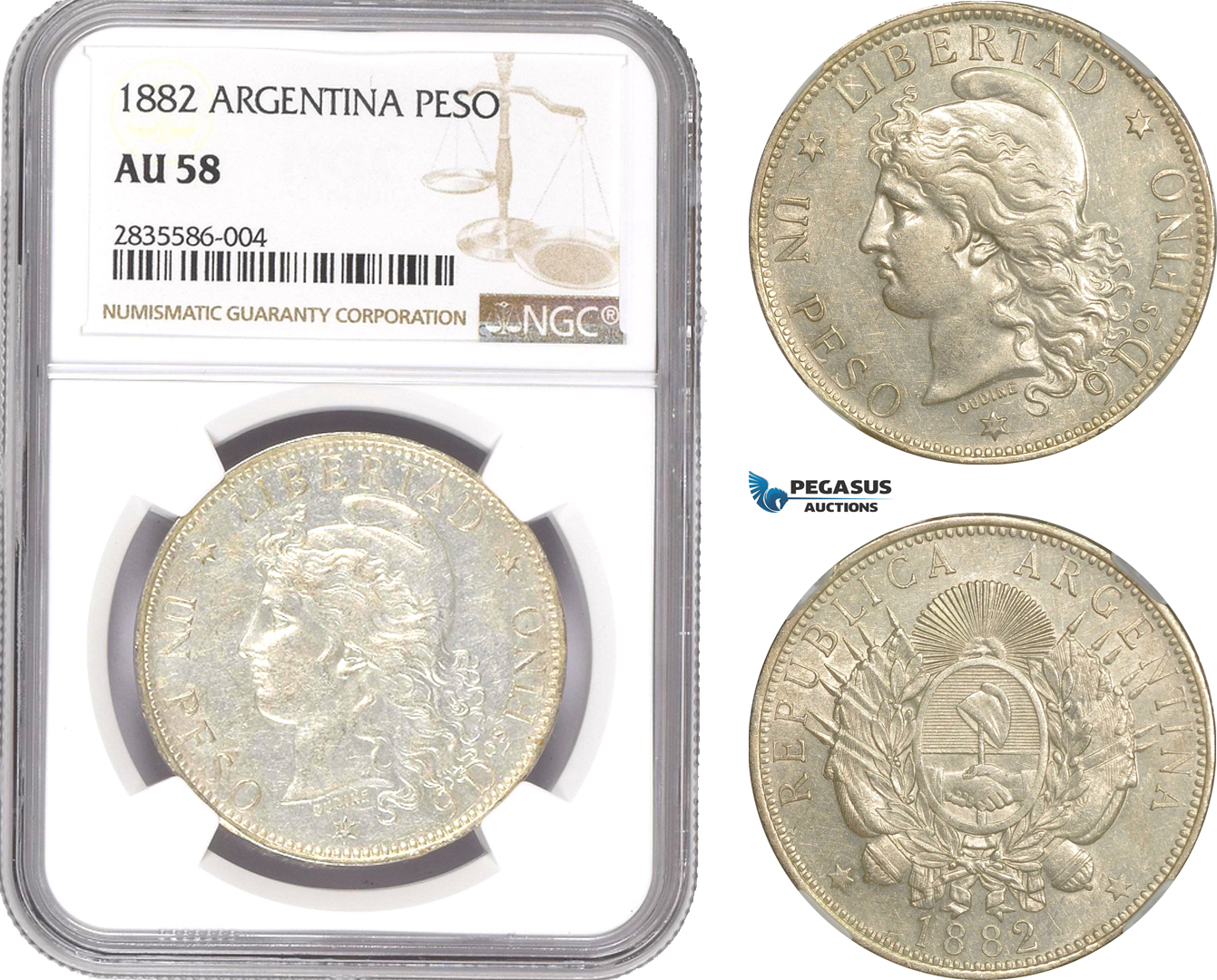 AE203, Argentina, Peso 1882, Silver, NGC AU58