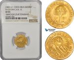 AE929, Costa Rica, 1 Escudo 1849, Gold, T6 C/S on C.A.R. 1E, NGC XF45