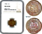 AI989, United States, Indian Head Cent 1902, Philadelphia Mint, NGC MS64BN