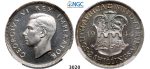 Lot: 3020. South Africa, Union of South Africa, George VI, 1936-­1952, 2 Shillings 1944, Pretoria, Silver, NGC PF63