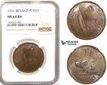 R814, Ireland, Penny 1931, NGC MS64BN