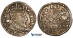 W81, Lithuania, Sigismund III of Poland, 3 Groschen (Trojak) 1593, Vilnius, Silver (2.38g) Toned XF+