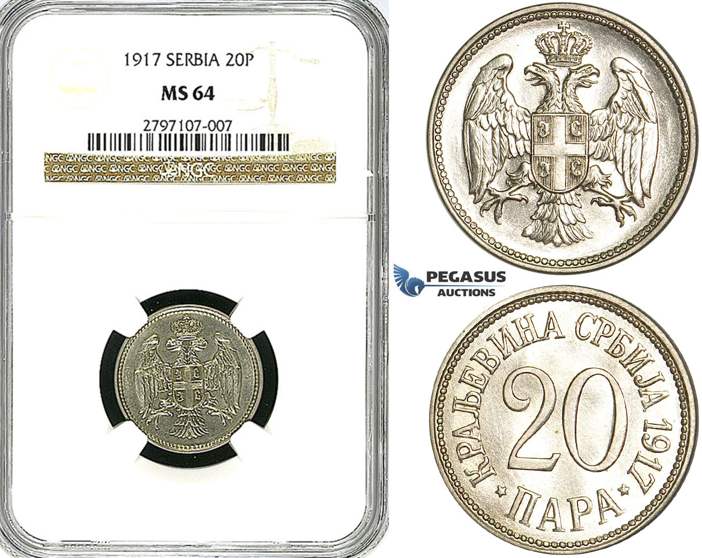 Z06, Serbia, Petar I, 20 Para 1917, NGC MS64