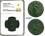 ZC10, Roman Empire, Divus Augustus (d. 14 AD) Æ Dupondius (14.51g) Rome, 37-41 AD (Struck under Caligula) NGC XF
