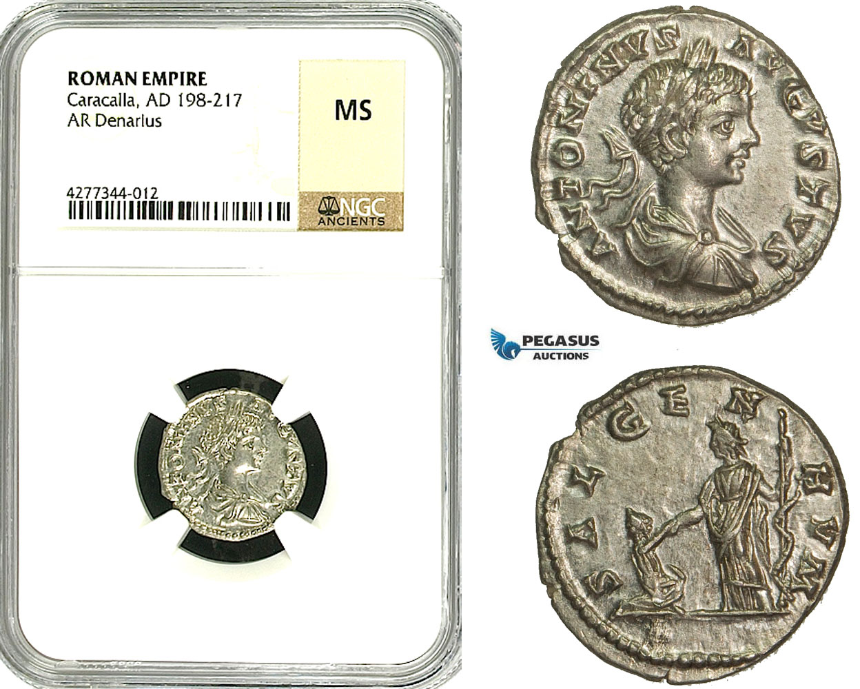 ZC82, Roman Empire, Caracalla (197-217 AD), AR Denarius (2.73g) Laodicea, 201 AD, Salus, NGC MS