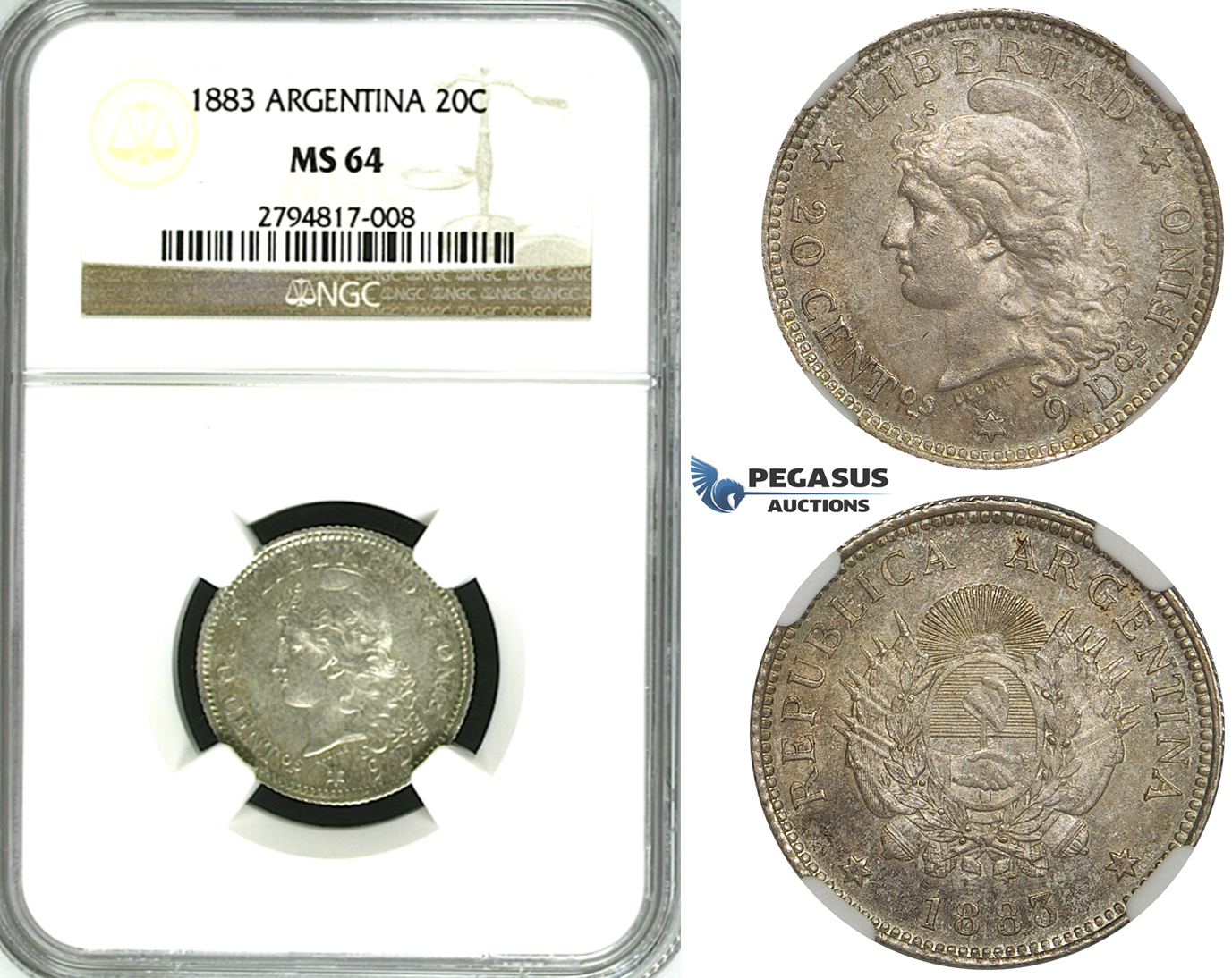 ZF99, Argentina, 20 Centavos 1883, Silver, NGC MS64