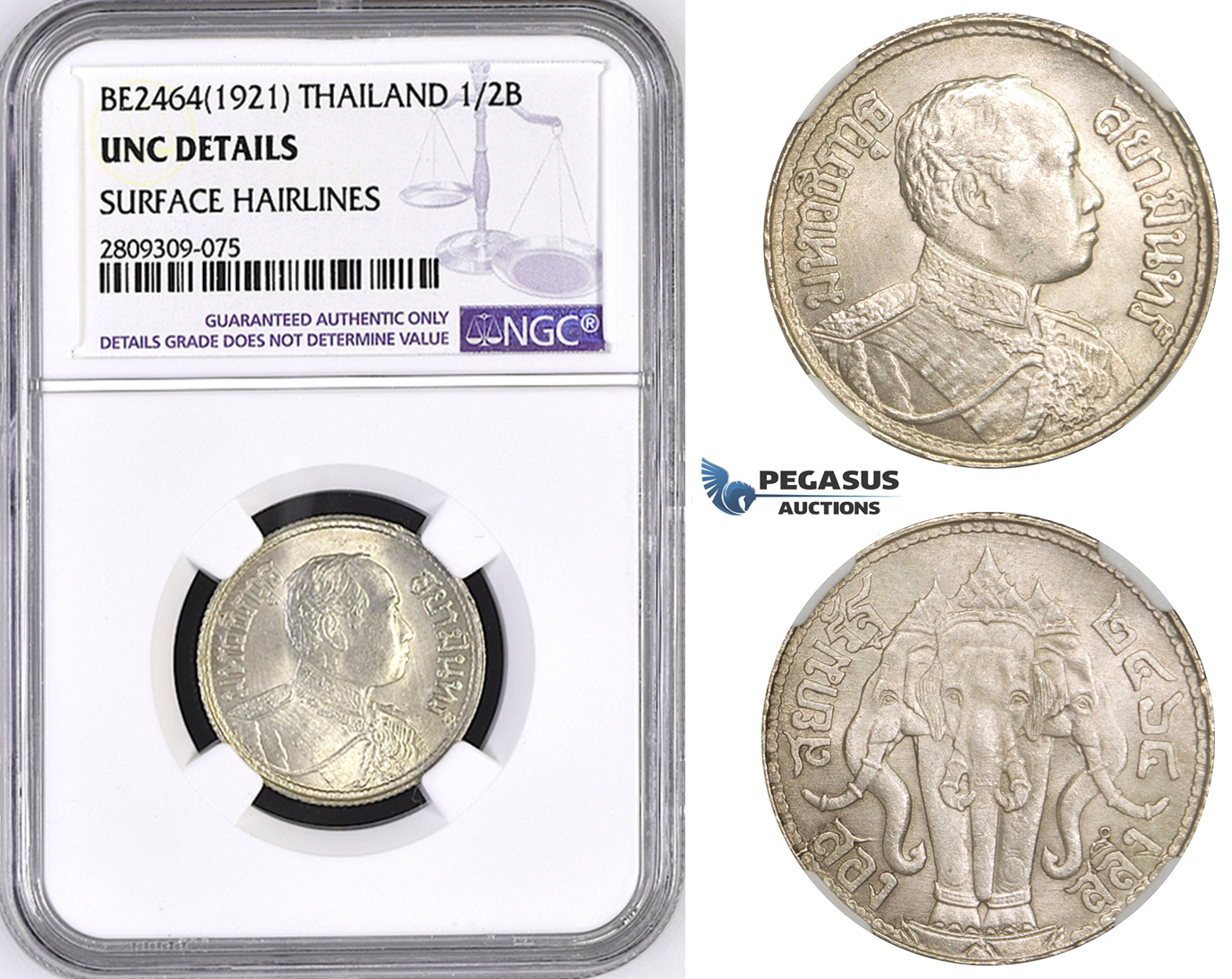 ZM444, Thailand, Rama VI, 1/2 Baht BE2464 (1921) Silver, NGC UNC Details