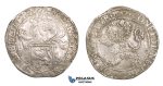 ZM544, Netherlands, West Friesland, Lion Daalder (Taler) 1617, Silver (27.20g) aXF